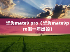 Ϊmate9 proΪmate9proһģ