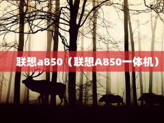 a850A850һ