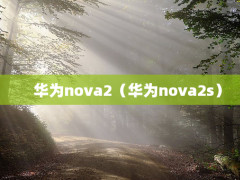 Ϊnova2Ϊnova2s