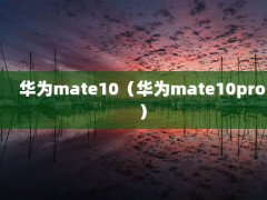 Ϊmate10Ϊmate10pro