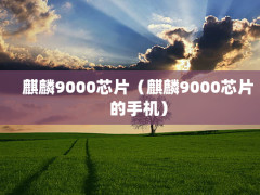 9000оƬ9000оƬֻ