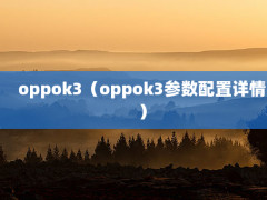 oppok3oppok3飩