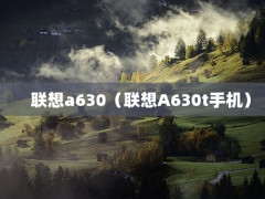 a630A630tֻ