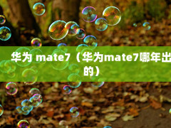 Ϊ mate7Ϊmate7ģ