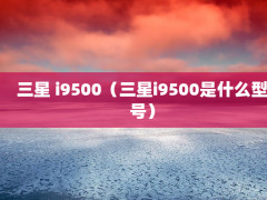  i9500i9500ʲôͺţ