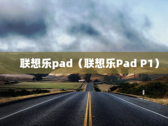 padPad P1