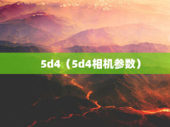 5d45d4