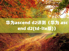 Ϊascend d2⣨Ϊ ascend d2(td-lte)