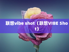 vibe shotVIBE Shot