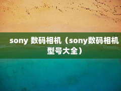 sony sonyͺŴȫ