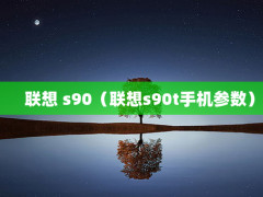  s90s90tֻ