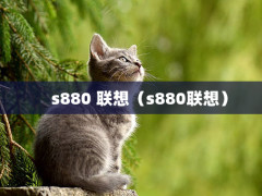 s880 루s880룩