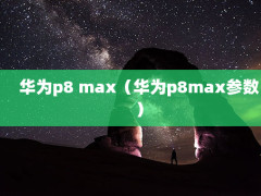 Ϊp8 maxΪp8max