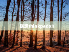 thinkpadx1