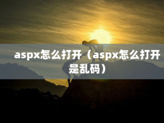 aspxô򿪣aspxô룩