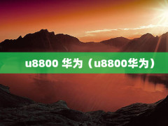 u8800 Ϊu8800Ϊ