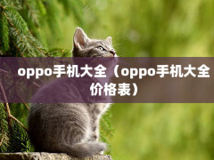 oppoֻȫoppoֻȫ۸