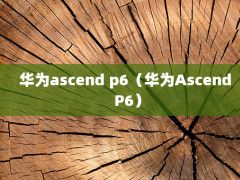 Ϊascend p6ΪAscend P6