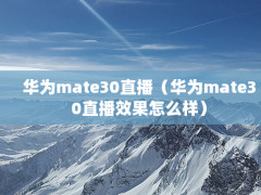 Ϊmate30ֱΪmate30ֱЧô