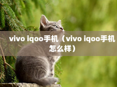 vivo iqooֻvivo iqooֻô