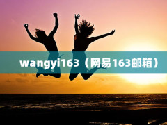 wangyi163163䣩