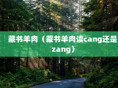 ⣨cangzang