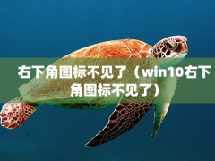 ½ͼ겻ˣwin10½ͼ겻ˣ