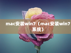 macװwin7macװwin7ϵͳ