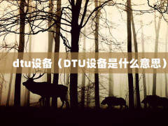 dtu豸DTU豸ʲô˼