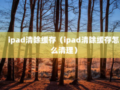 ipad棨ipadô